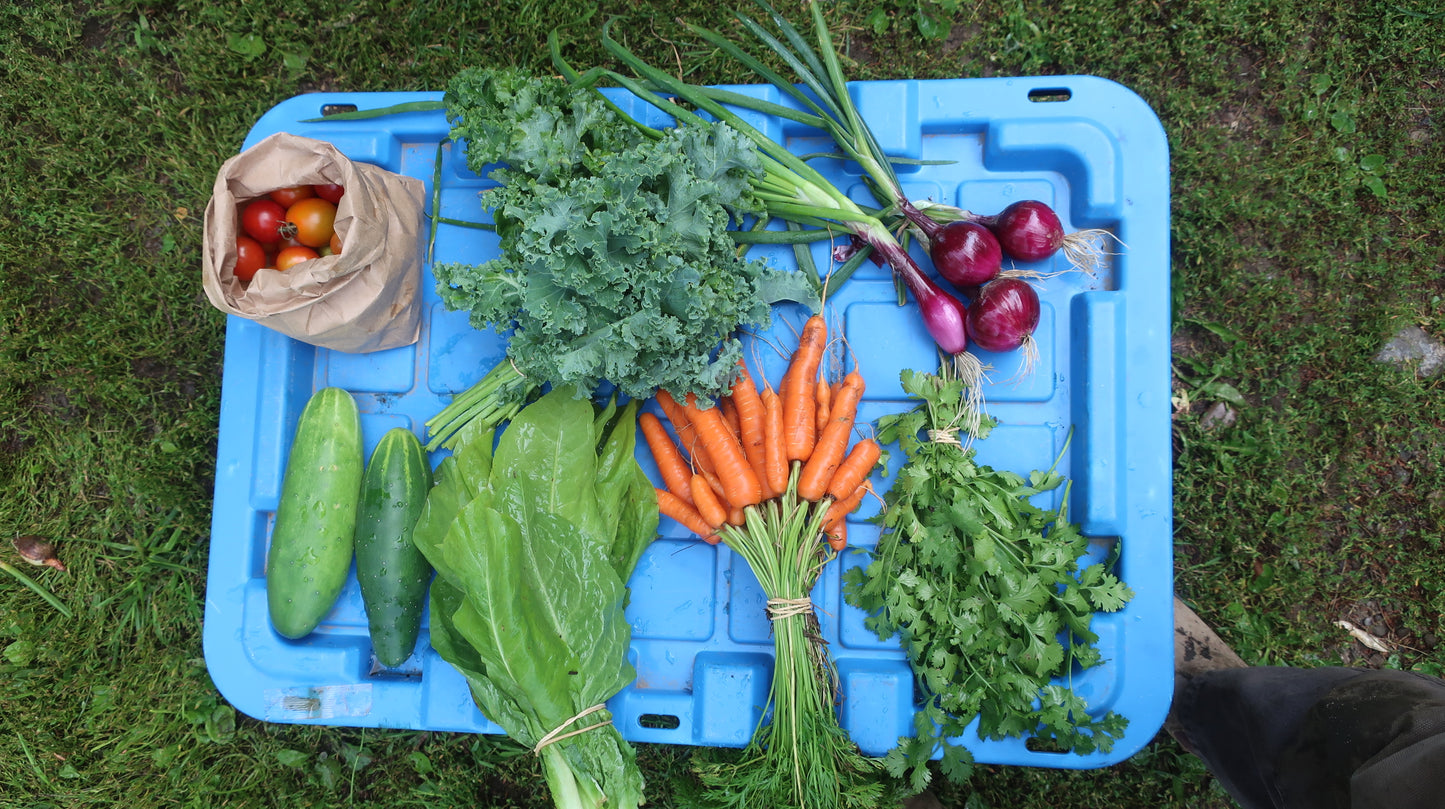 Full Season Harvest Share