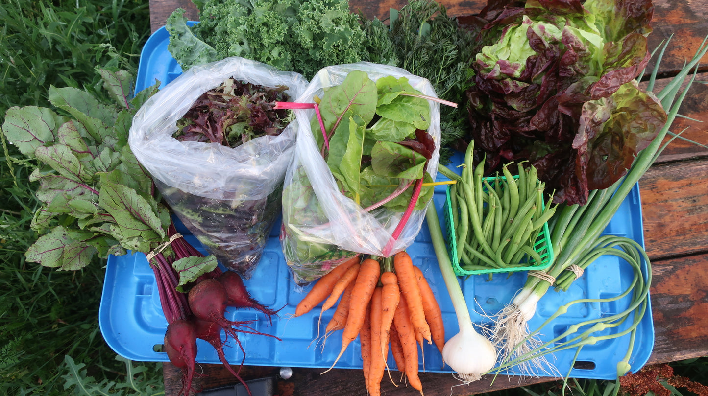 Full Season Harvest Share