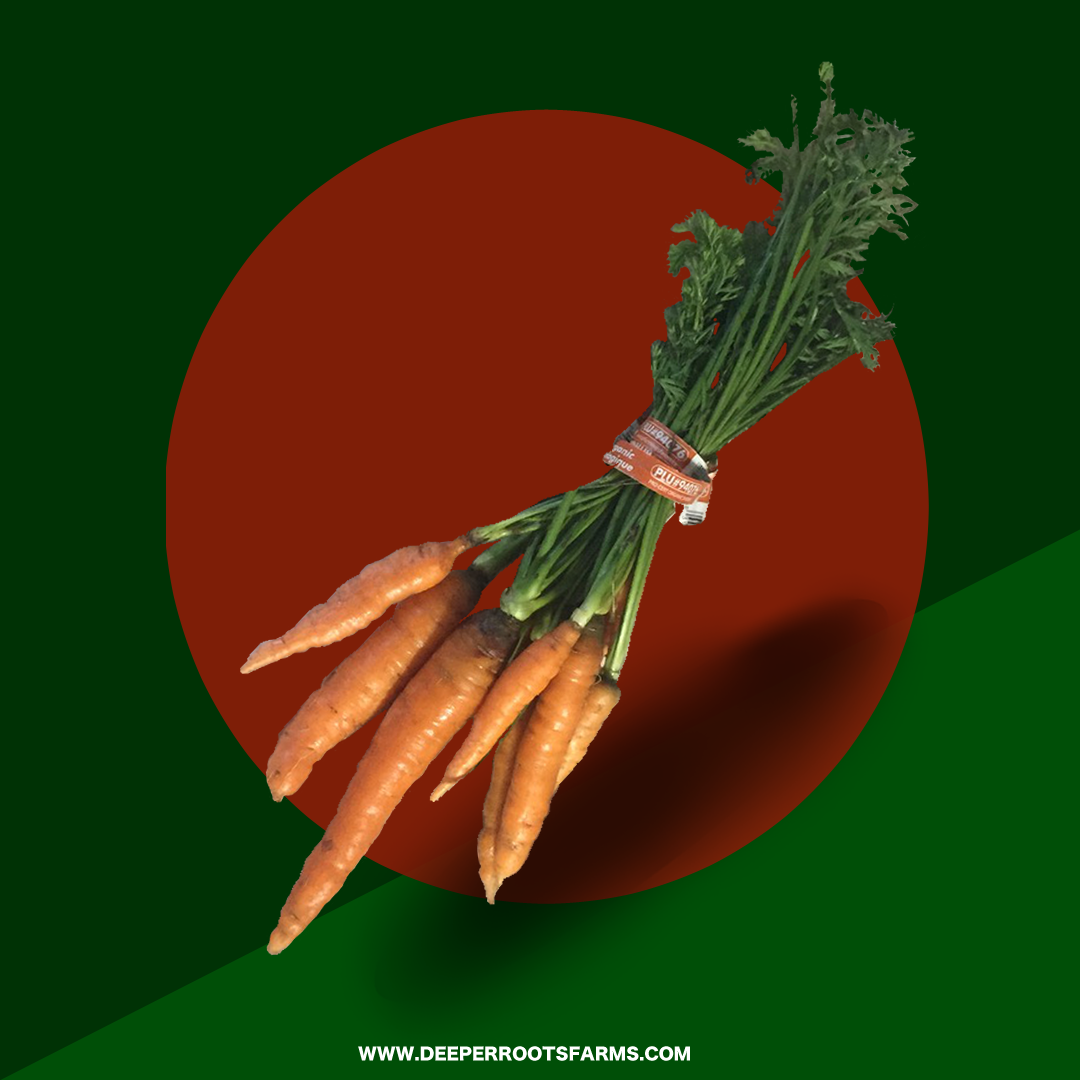 Organic Sweet Carrots