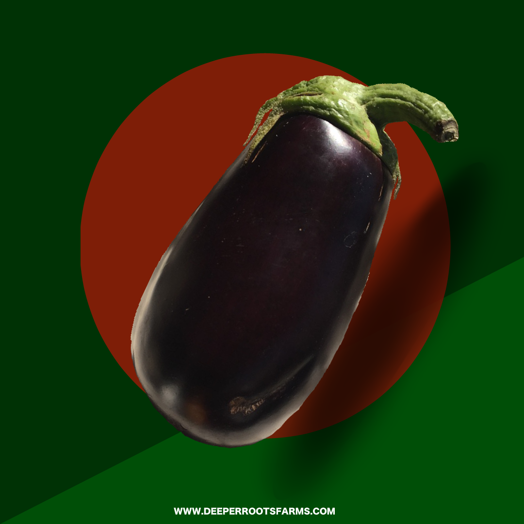 Organic Eggplant