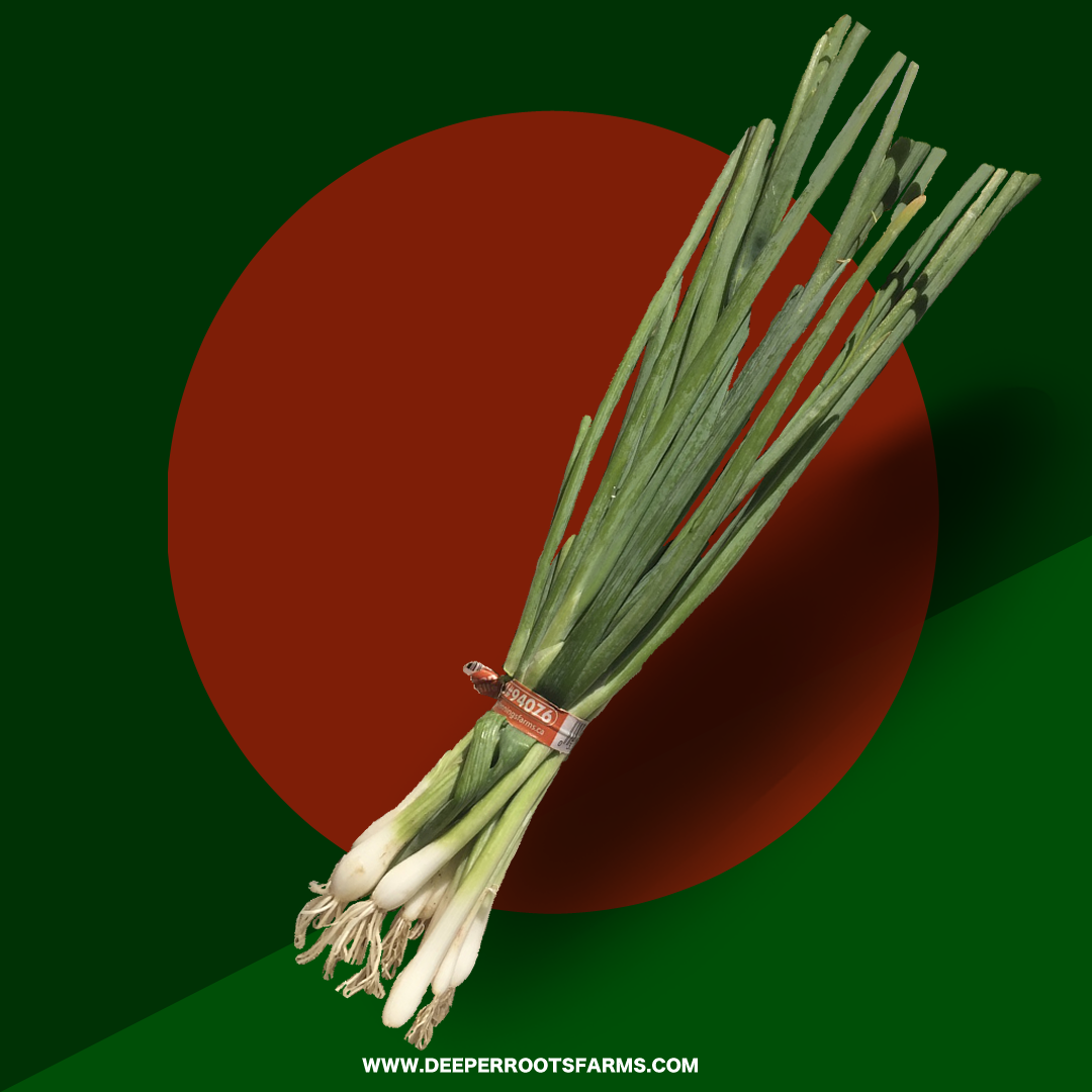 Organic Green Onions