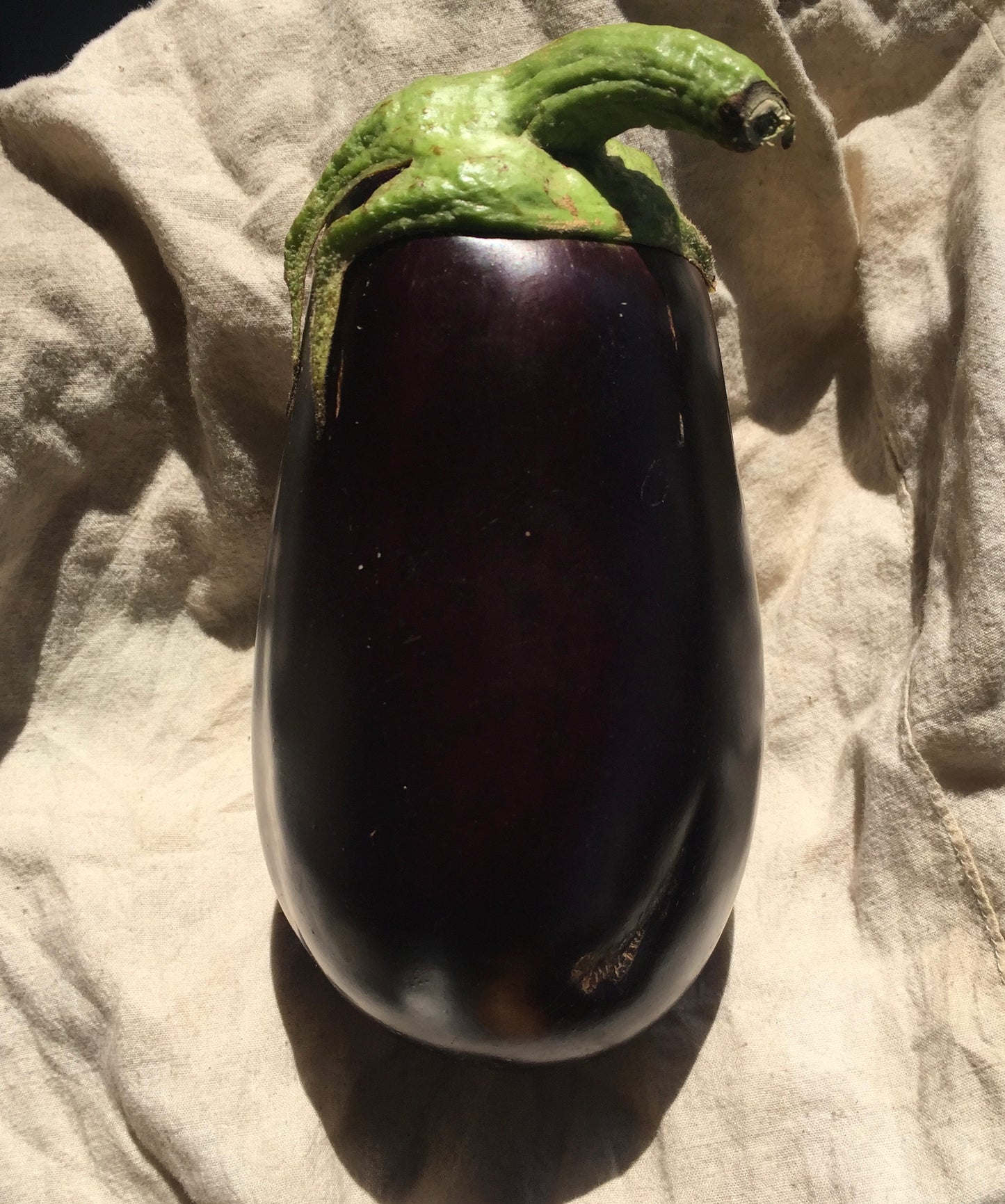 Organic Eggplant