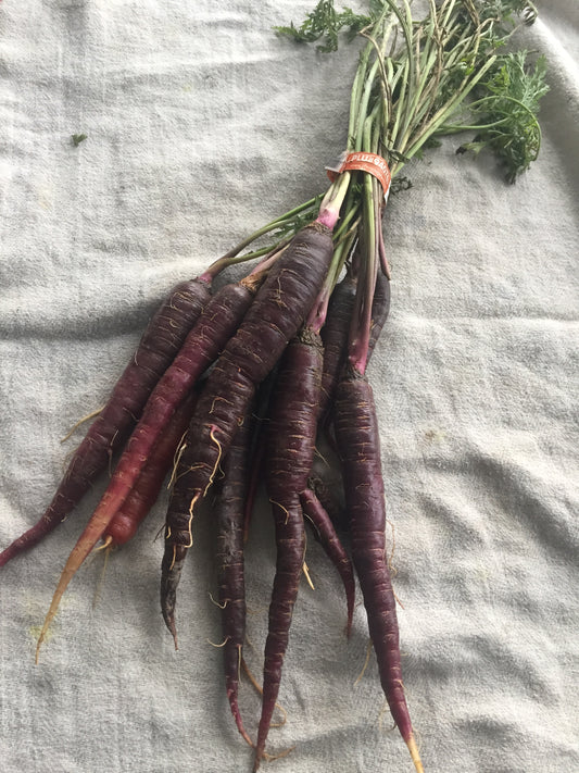 Organic Specialty Carrots