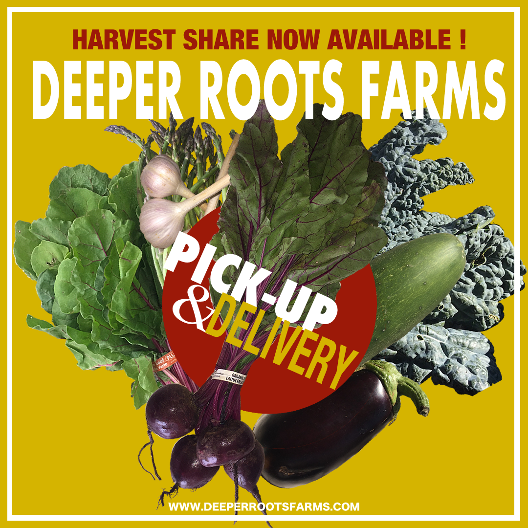 Reduced Quantity Harvest Share