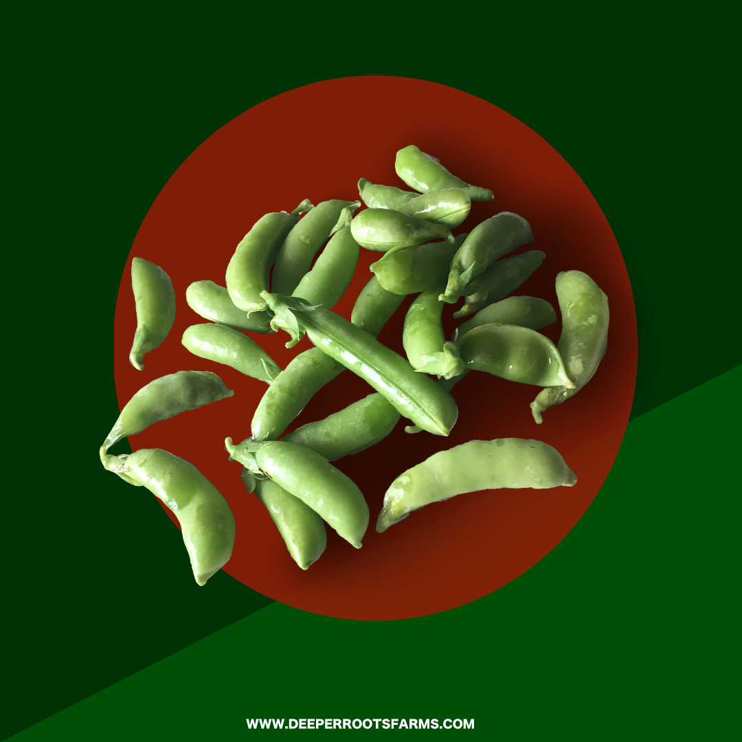 Organic Snap Peas