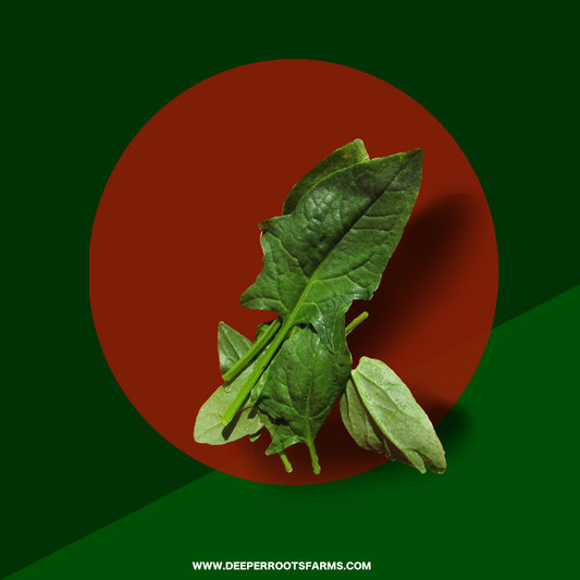 Organic Spinach