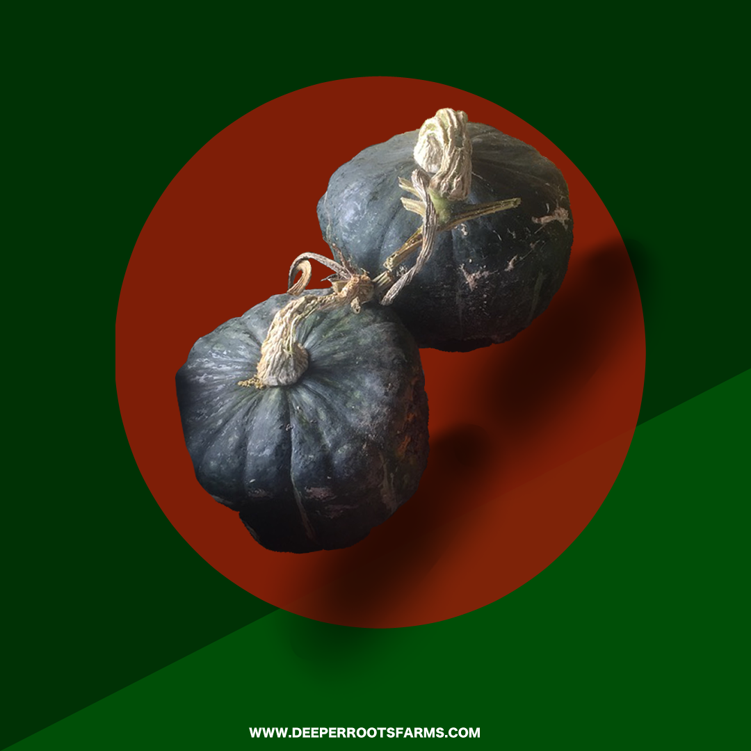 Organic Buttercup Squash