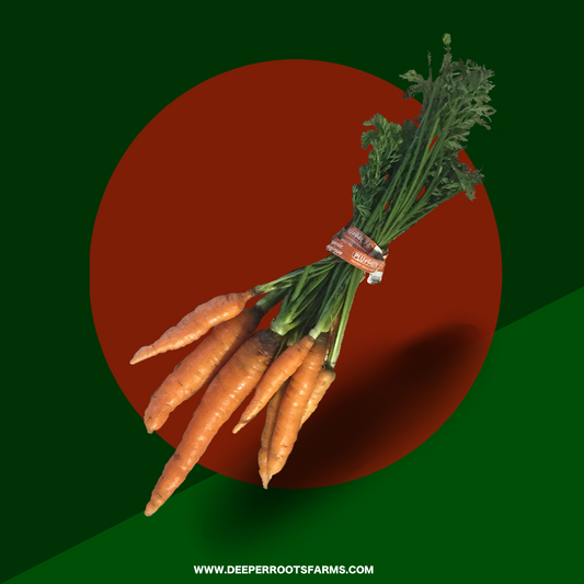 Organic Sweet Carrots