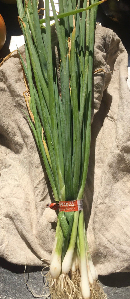 Organic Green Onions