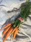 Organic Sweet Carrots