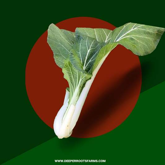 Organic Bok Choy