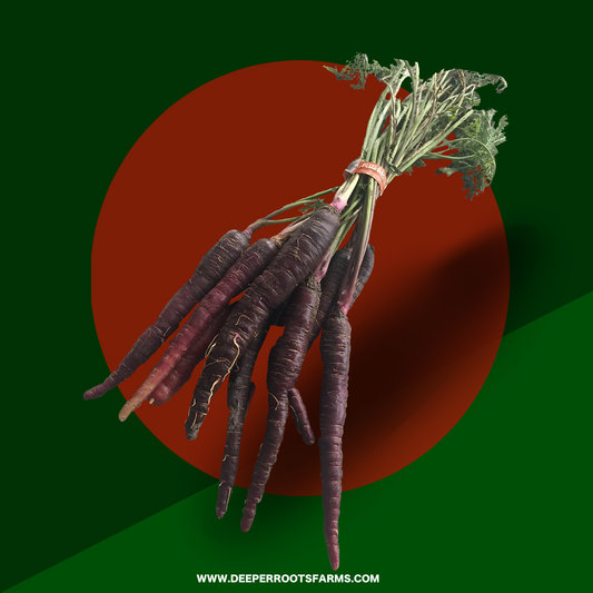 Organic Specialty Carrots