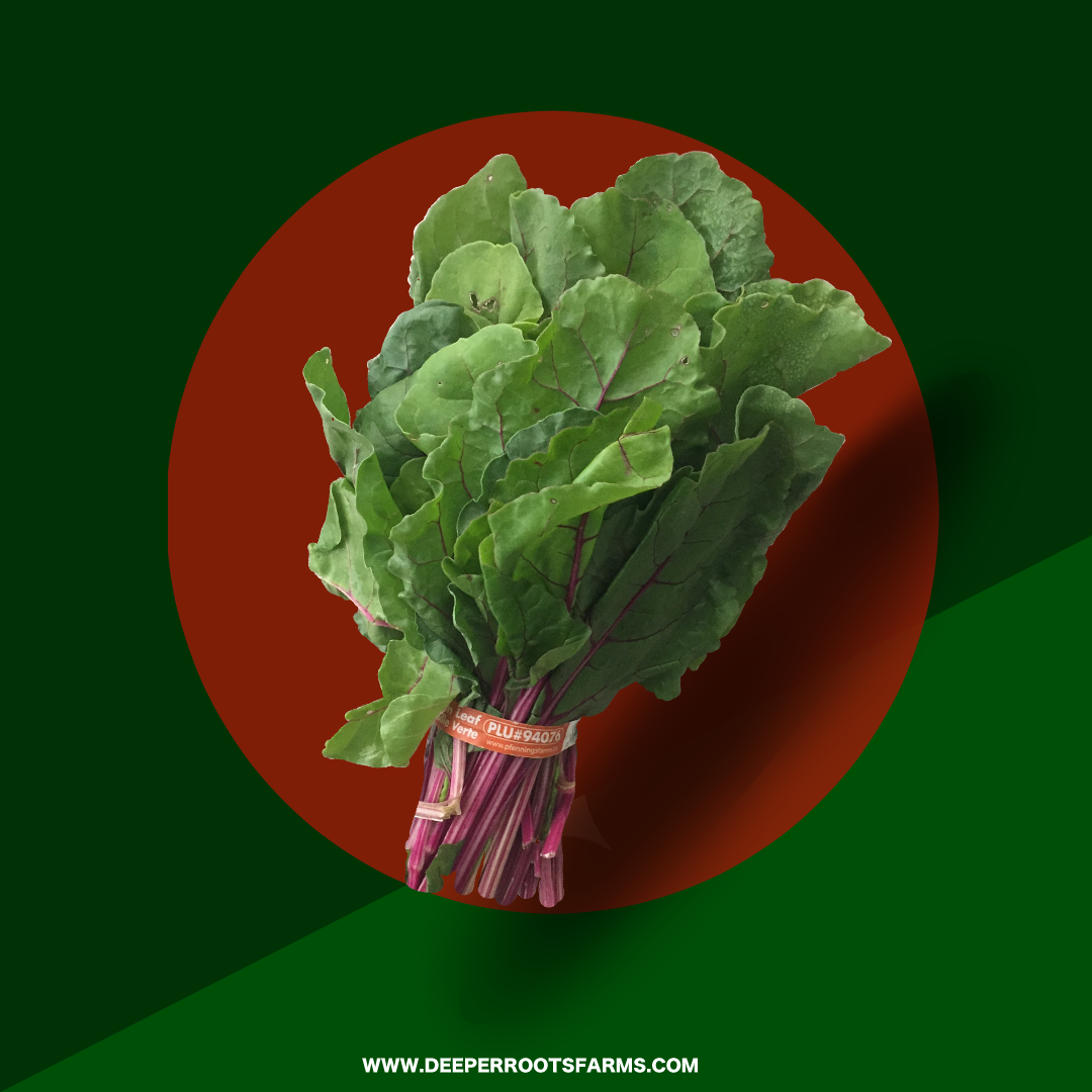 Organic Swiss Chard