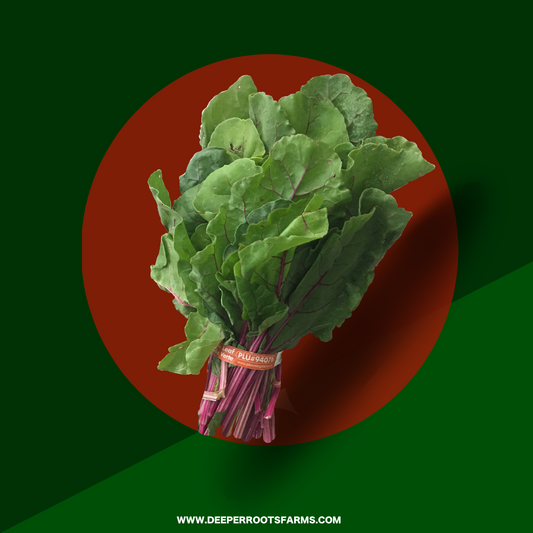 Organic Swiss Chard