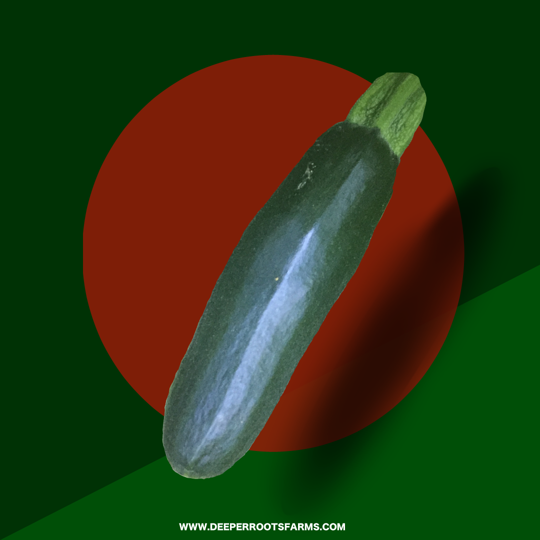 Organic Zucchini